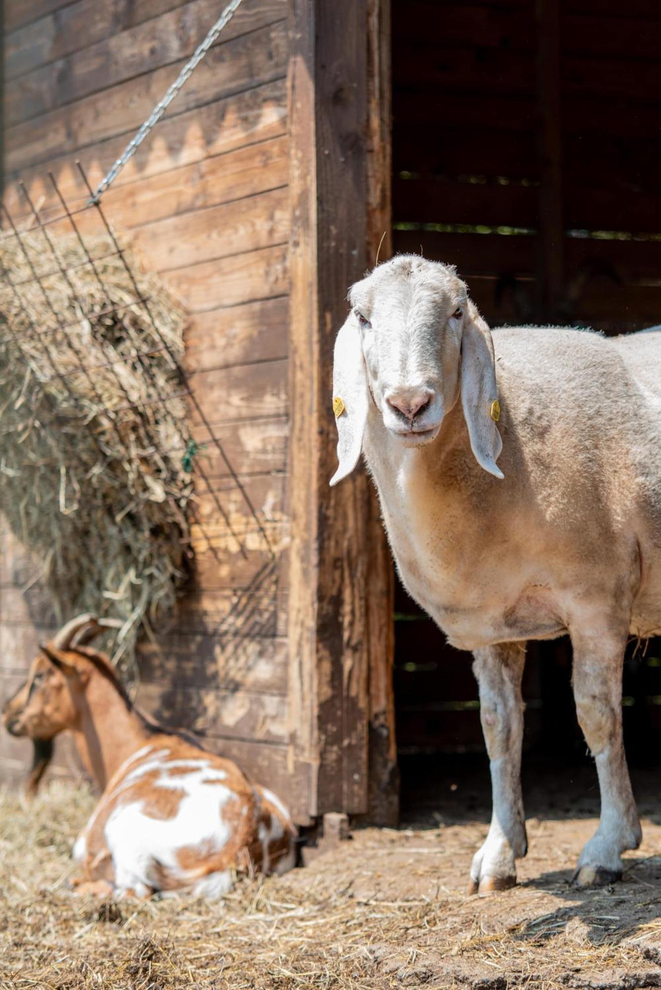 Farm stay La Fucina